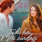 Tu Hi Hai Meri Zindagi Lyrics by Nikhil DSouza