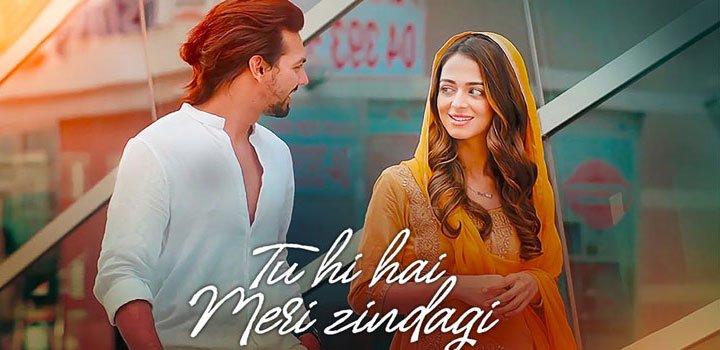 Tu Hi Hai Meri Zindagi Lyrics by Nikhil DSouza