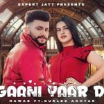 Gaani Yaar Di Lyrics by Nawab