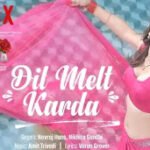 Dil Melt Karda Lyrics Haseen Dillruba