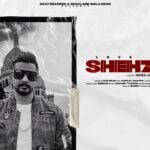 shehzada lyrics shehzada 2021