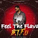 Feel The Flava (It'z All Good) Lyrics by Karan Aujla