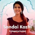 Sandai Kozhi Cover Song Lyrics