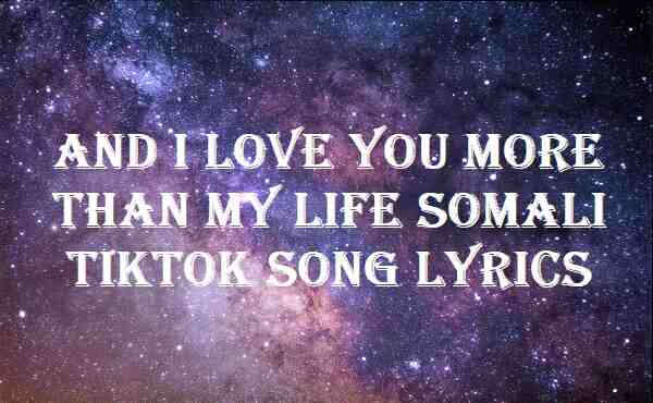 and i love you more than my life somali song tiktok lyrics