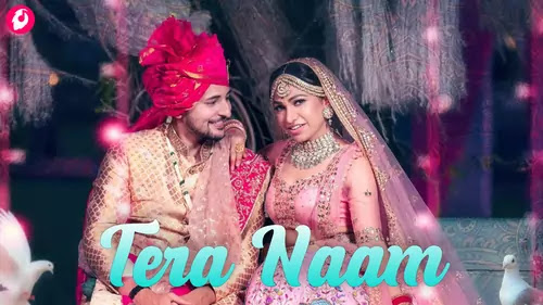 Tera Naam Lyrics by Tulsi Kumar, Darshan Raval