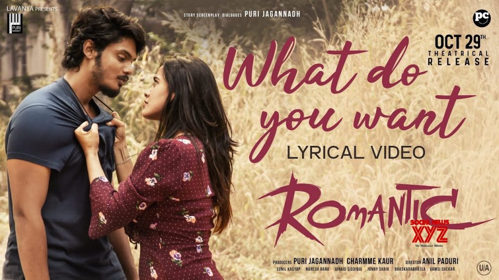 what do you want lyrics romantic movie
