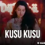 Kusu Kusu Lyrics Meaning