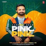 pink pink lyrics sandeep brar 2021