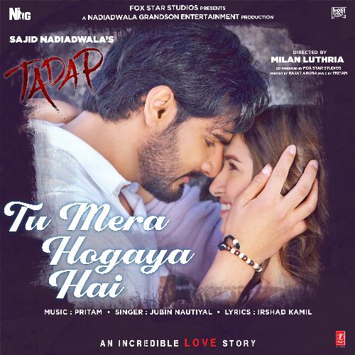 tu mera hogaya hai lyrics in english tadap jubin nautiyal