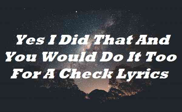 you should have had a check lyrics