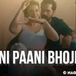 Paani Paani Lyrics Meaning