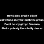 drop it down just wanna see you touch the ground lyrics