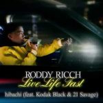 hibachi lyrics roddy ricch ft kodak black 21 savage