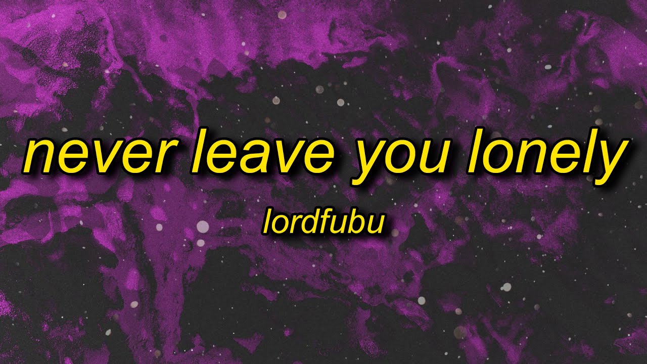 you look lonely i can fix that lyrics