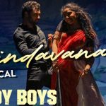 Brindavanam Lyrics from Rowdy Boys