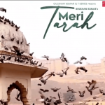 meri tarah lyrics in english jubin nautiyal himansh kohli