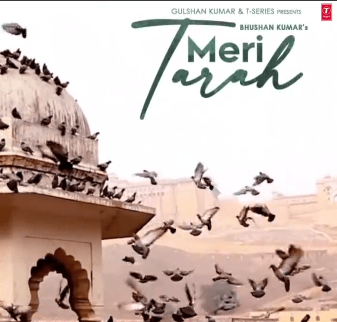 meri tarah lyrics in english jubin nautiyal himansh kohli