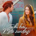 tu hi hai meri zindagi lyrics nikhil dsouza 2022