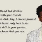 cocaine and drinking with your friends lyrics