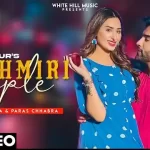 kashmiri apple lyrics asees kaur 2022