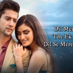 dil se utar gaye lyrics in english paras arora raj barman