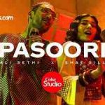 mere dhol judaiyan di lyrics meaning coke studio shae gill