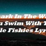 a shark in the water you swim with the little fishies lyrics