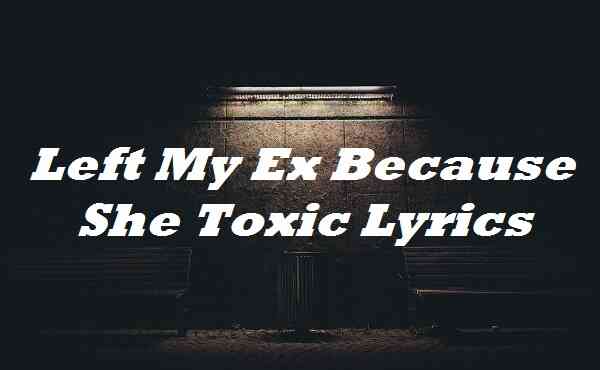 left my ex because she toxic lyrics