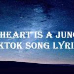 my heart is a jungle tiktok lyrics