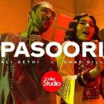 pasoori lyrics ali sethi shae gill coke studio season 14 2022