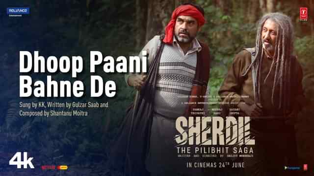 Dhoop Paani Behne De Lyrics by KK from Sherdil