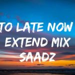 too late now saadz lyrics