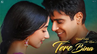 tere bina song lyrics.webp.jpeg