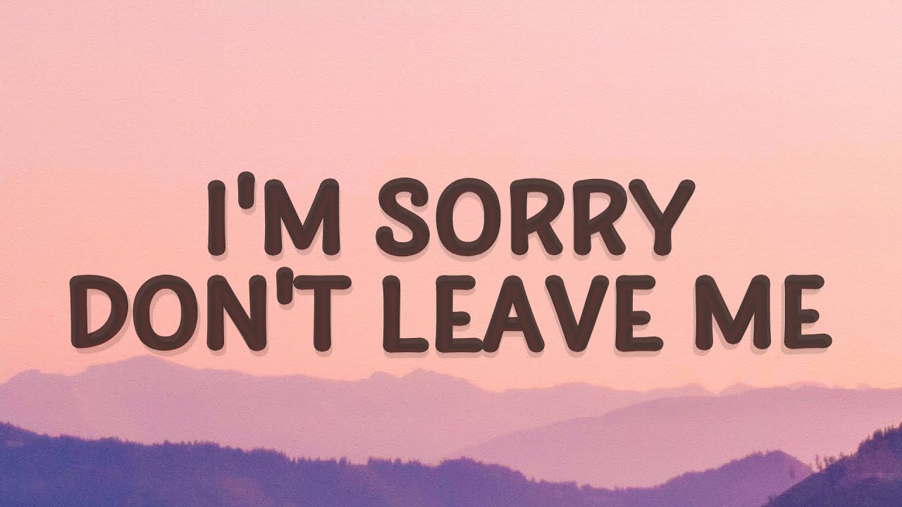 i am sorry lyrics love