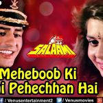 mere mehboob ki yehi pehchan hai lyrics salaami