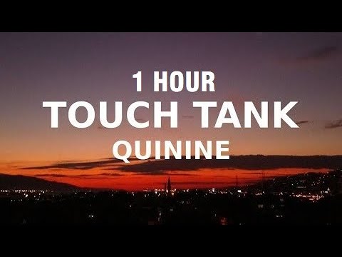 touch tank quinnie lyrics