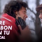 mere khwabon mein tu lyrics gupt