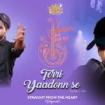 teri yaadon se lyrics salman ali himesh reshammiya