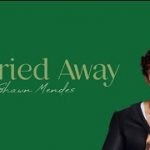 carried away lyrics shawn mendes