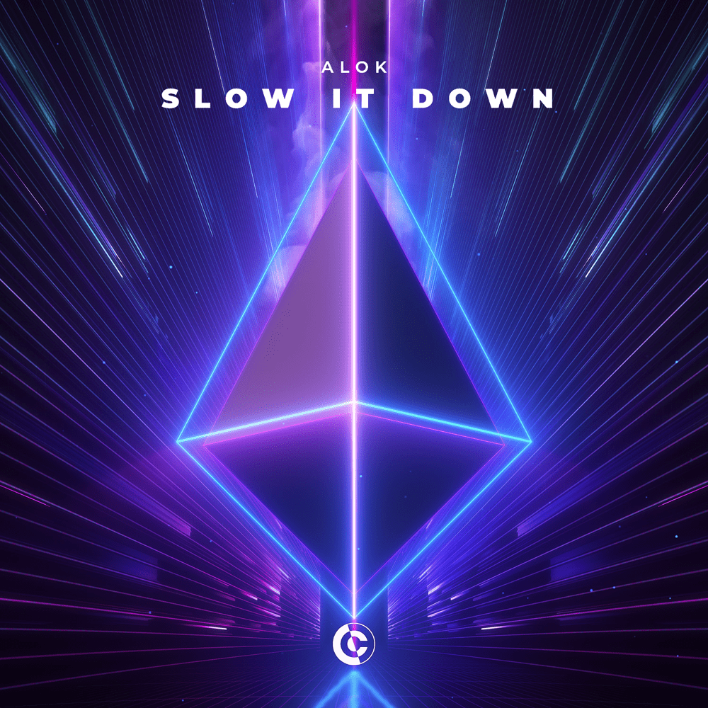 slow it down lyrics alok