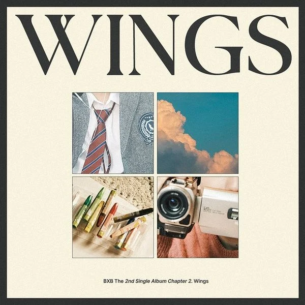 BXB Chapter 2. Wings